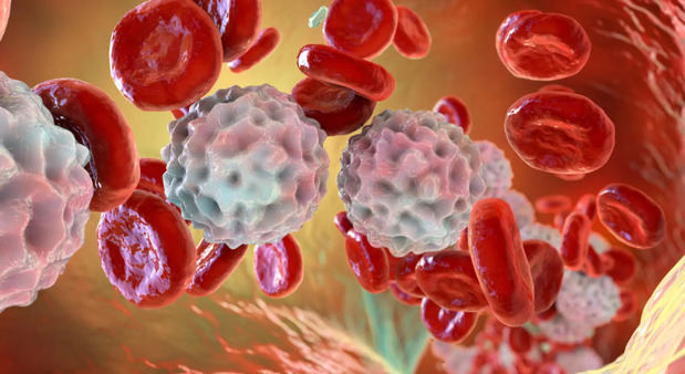 Tratamiento innovador para leucemia linfoblástica aguda en niños y adultos marca un hito en primera línea
