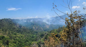 Ministerio de Medio Ambiente combate incendios forestales en Jánico y Barahona