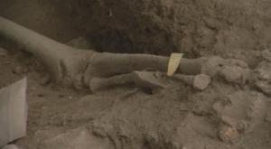Conversatorio sobre hallazgos de restos humanos de 6.000 años de antigüedad en Samaná