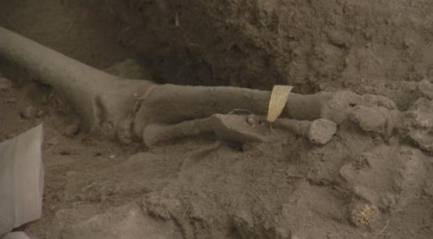 Conversatorio sobre hallazgos de restos humanos de 6.000 años de antigüedad en Samaná