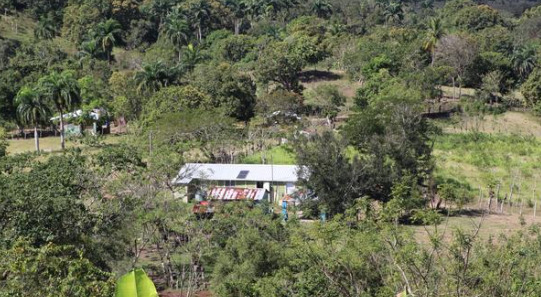 Medio Ambiente y el PNUD abren convocatoria para proyectos comunitarios ambientales.