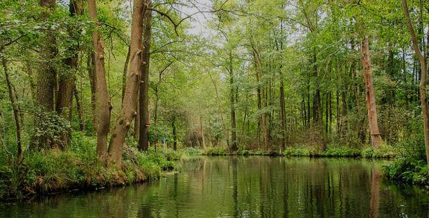 Día Internacional de las Reservas de la Biosfera.