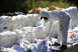 República Dominicana incinera 1,450 kilos de cocaína en apoyo a la operación Lanza del Sur de EE.UU