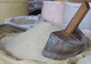 Siembra de arroz en República Dominicana supera los 3 millones de tareas en 2025