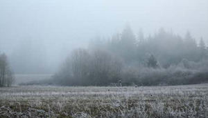 Temperaturas agradables y eventos de niebla se prevén en zonas montañosas 