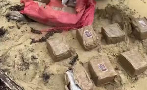 DNCD y la Armada decomisan 19 pacas de hachís en una playa de Miches, El Seibo