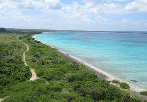 Playa de Isla Saona incluida en la lista de las 50 mejores del mundo del año 2026