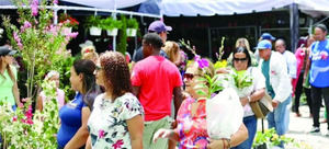 Festival de las Flores: 15 años elevando cultura turismo de Jarabacoa