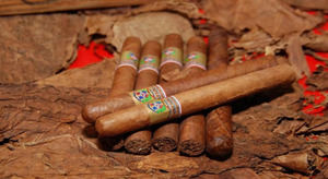 República Dominicana reporta 1,359 millones de dólares en exportaciones de tabaco en 2025