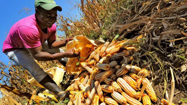 Entra en funcionamiento el Sistema para la Soberanía y Seguridad Alimentaria y Nutricional 