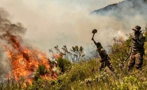 Ecologistas reclaman medidas urgentes para los incendios de la selva africana