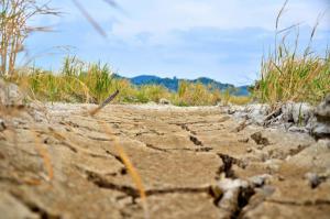 Pérdidas agrícolas de 22.000 millones dólares en Latinoamérica por desastres