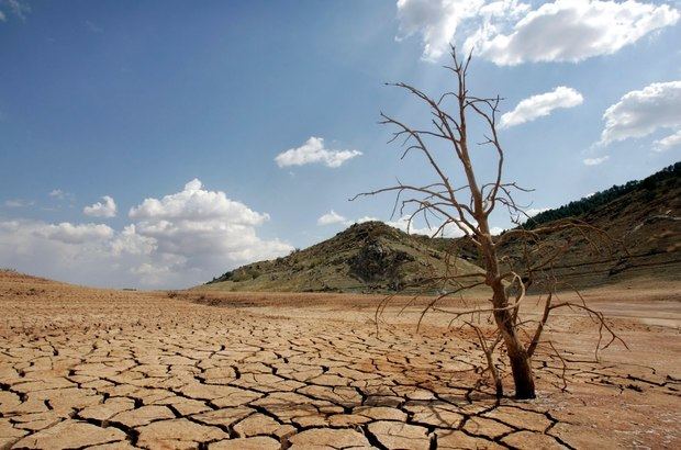 La escasez de agua podría llevar a un conflicto entre comunidades y países debido a que el mundo aún no es plenamente consciente de la crisis de agua que muchas naciones enfrentan como resultado del cambio climático, advirtió el director del panel de científicos del clima de la ONU.