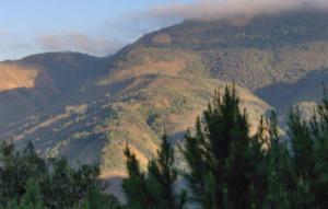 Medio Ambiente dice haitianos incendiaron Parque Sierra de Bahoruco