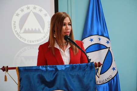 Diputada García pide menos felicitaciones y más acciones a favor de la mujer