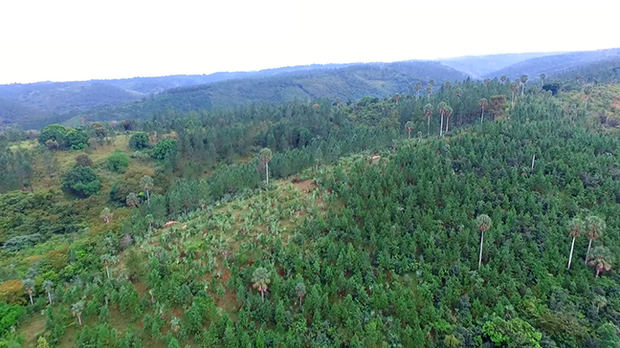 Sur Futuro presenta sexta entrega del Premio Ecológico de la siembra de agua