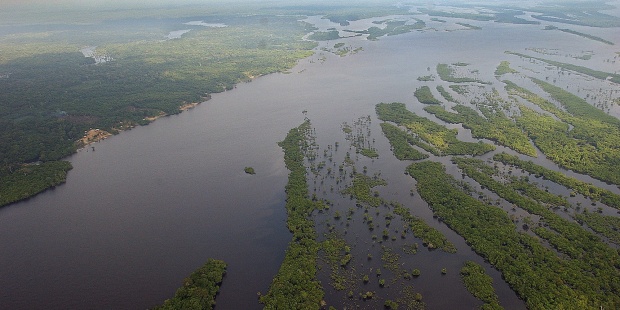 Vista de la Amazonia. 