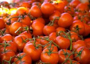 Italia quiere introducir el etiquetado de origen de los tomates