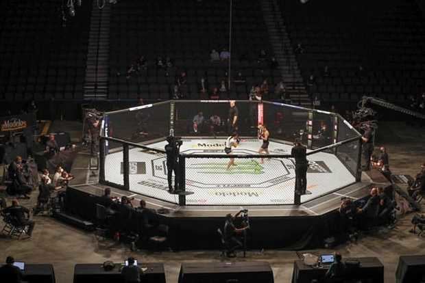 UFC estrena una era de deportes con mascarilla y sin público.