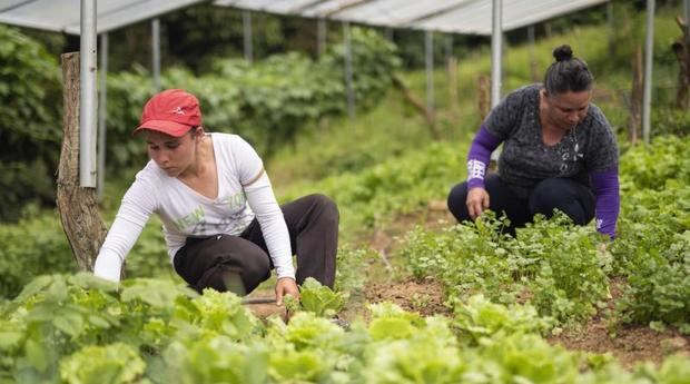 Lanzan proyecto en favor de fortalecer el rol de la mujer en el medioambiente.