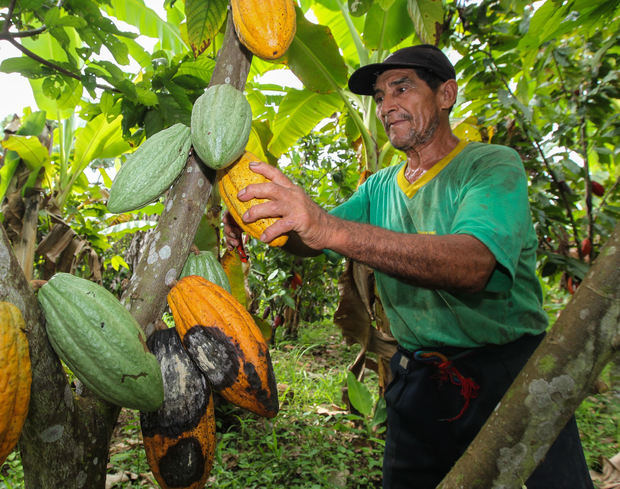 En América Latina y el Caribe se pierden y desperdician cada año 127 millones de toneladas de alimentos (más de un tercio de lo que se produce), mientras que aproximadamente 47 millones de personas padecen hambre en ambos territorios.