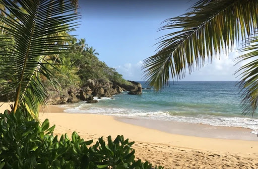 Playa de María Trinidad Sánchez.