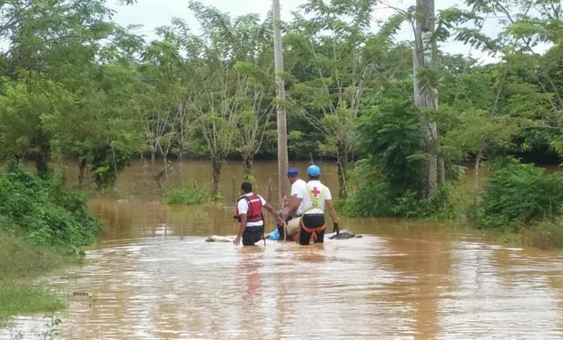 Voluntarios en acción.