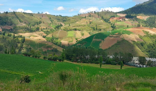 Valle Nuevo, Constanza.