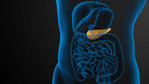 Una de cada seis personas con cáncer de páncreas tiene mutaciones genéticas hereditarias