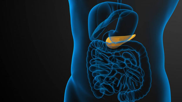 Una de cada seis personas con cáncer de páncreas tiene mutaciones genéticas hereditarias.