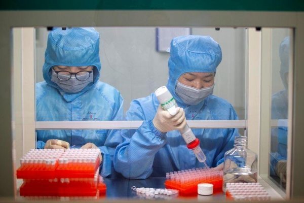 Singapur probará en humanos un tratamiento de anticuerpos contra la Covid-19.