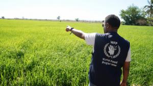El Programa Mundial de Alimentos activa campaña preventiva 2026