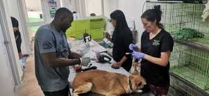 Jornada Pets Breeding Control.  