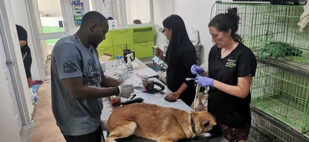 Jornada Pets Breeding Control.  