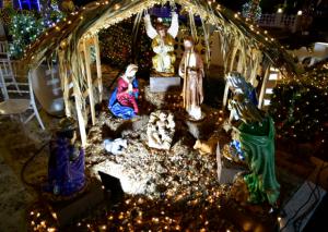 La Armada Dominicana ilumina la esperanza y unión con el tradicional encendido del árbol de Navidad