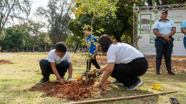 Dominicana de Seguros apuesta por el medioambiente con 'Dominicana Verde 2025'