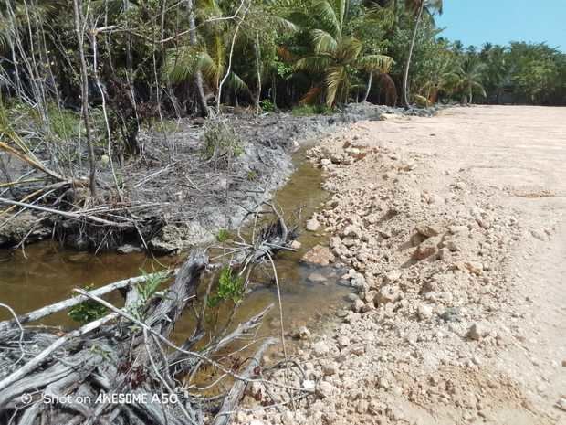Ministerio Público paraliza proyecto inmobiliario en Samaná por daños al medio ambiente.