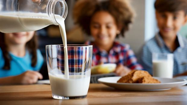 La leche y los lácteos: aliados clave para la salud y la nutrición.