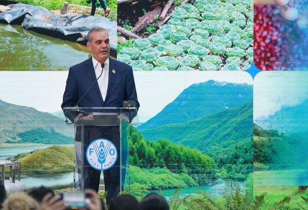 Abinader reconoce problemas con los apagones eléctricos 