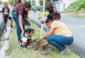 Alcaldía y Fundación Renacer plantan 150 árboles en Santo Domingo
