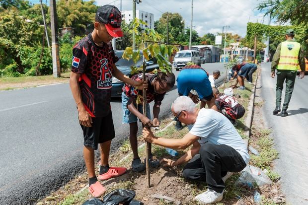 Alcaldía y Fundación Renacer plantan 150 árboles en Santo Domingo.