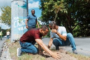 Alcaldía y Fundación Renacer plantan 150 árboles en Santo Domingo.