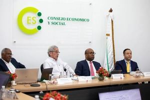Consejo Económico Social propone formalizar empleo de migrantes