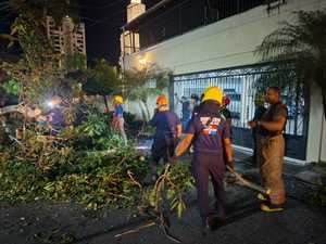 Bomberos retiraron más de 20 árboles caídos en Santo Domingo