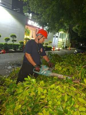 Árboles cayeron sobre viviendas, negocios y vehículos.