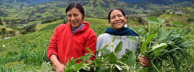 Mujeres y hombres que trabajan en sectores dependientes de recursos naturales como la agricultura se ven afectados por el cambio climático. Sin embargo, la mujer padece una mayor vulnerabilidad derivada de factores sociales, económicos y culturales.